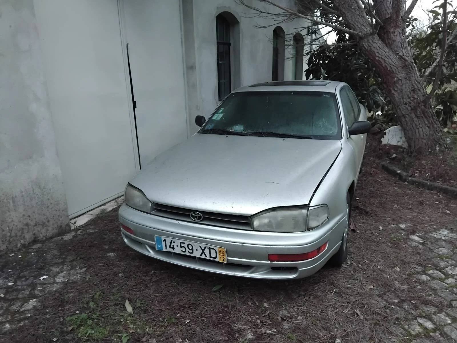 PHOTO-2026-03-02-21-25-33 - cópia.jpg