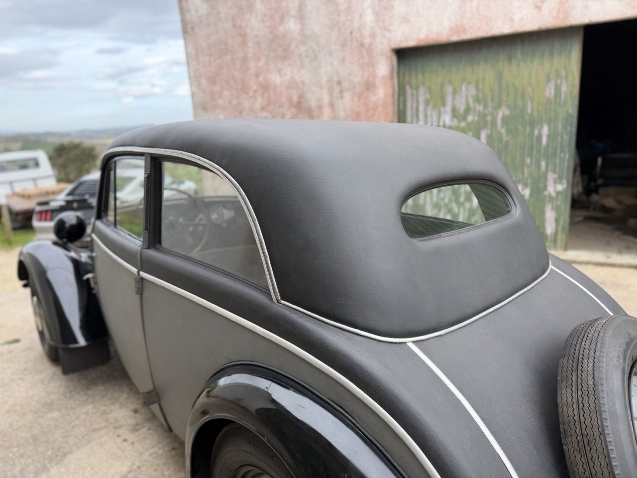 IMG_1461 – grande.jpeg