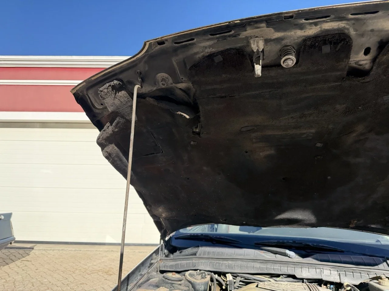 IMG_2762 – grande.jpeg