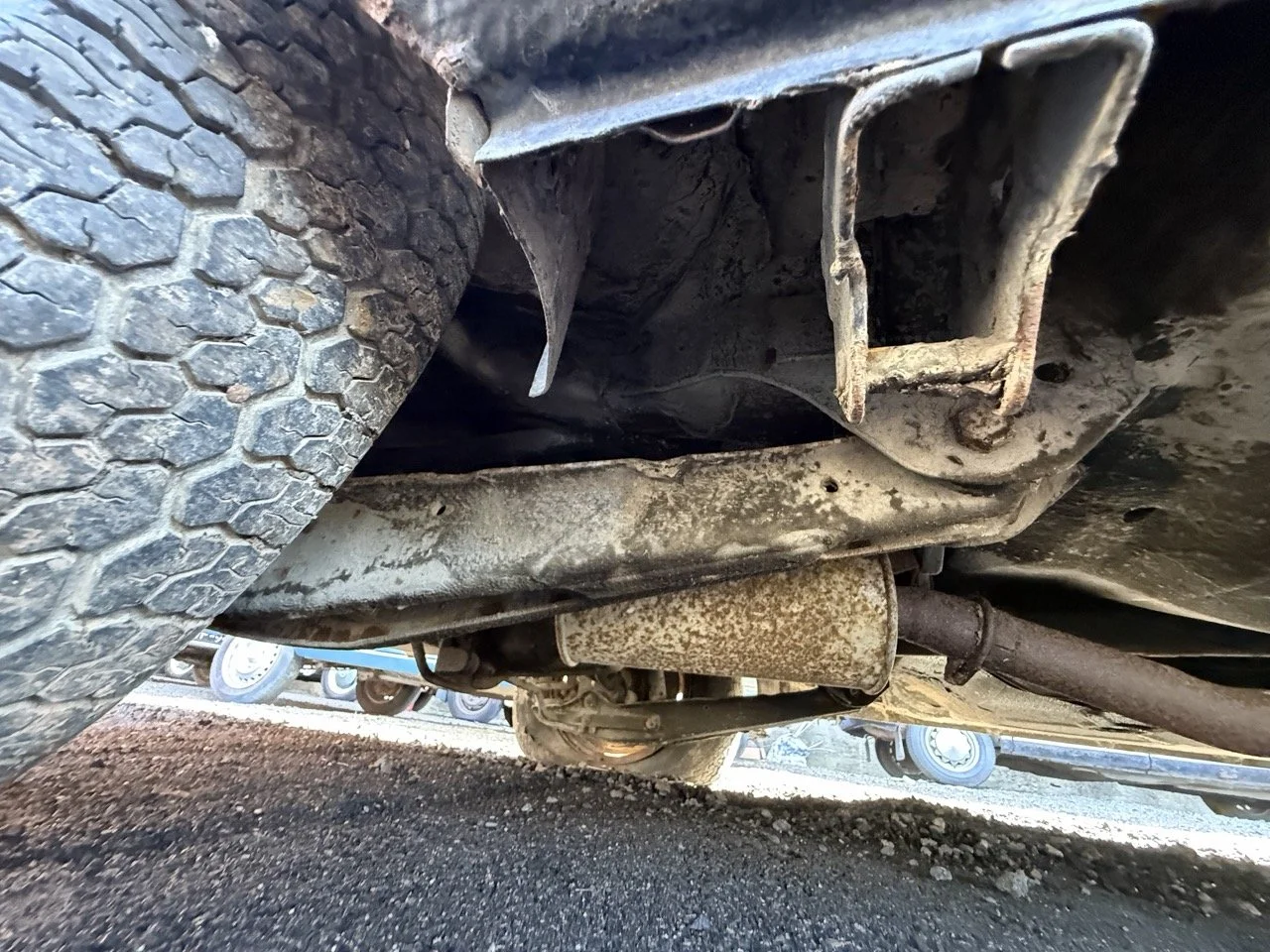 IMG_1230 – grande.jpeg