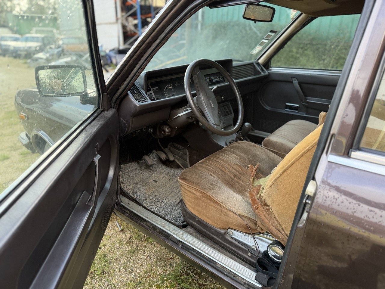 IMG_5245 – grande.jpeg