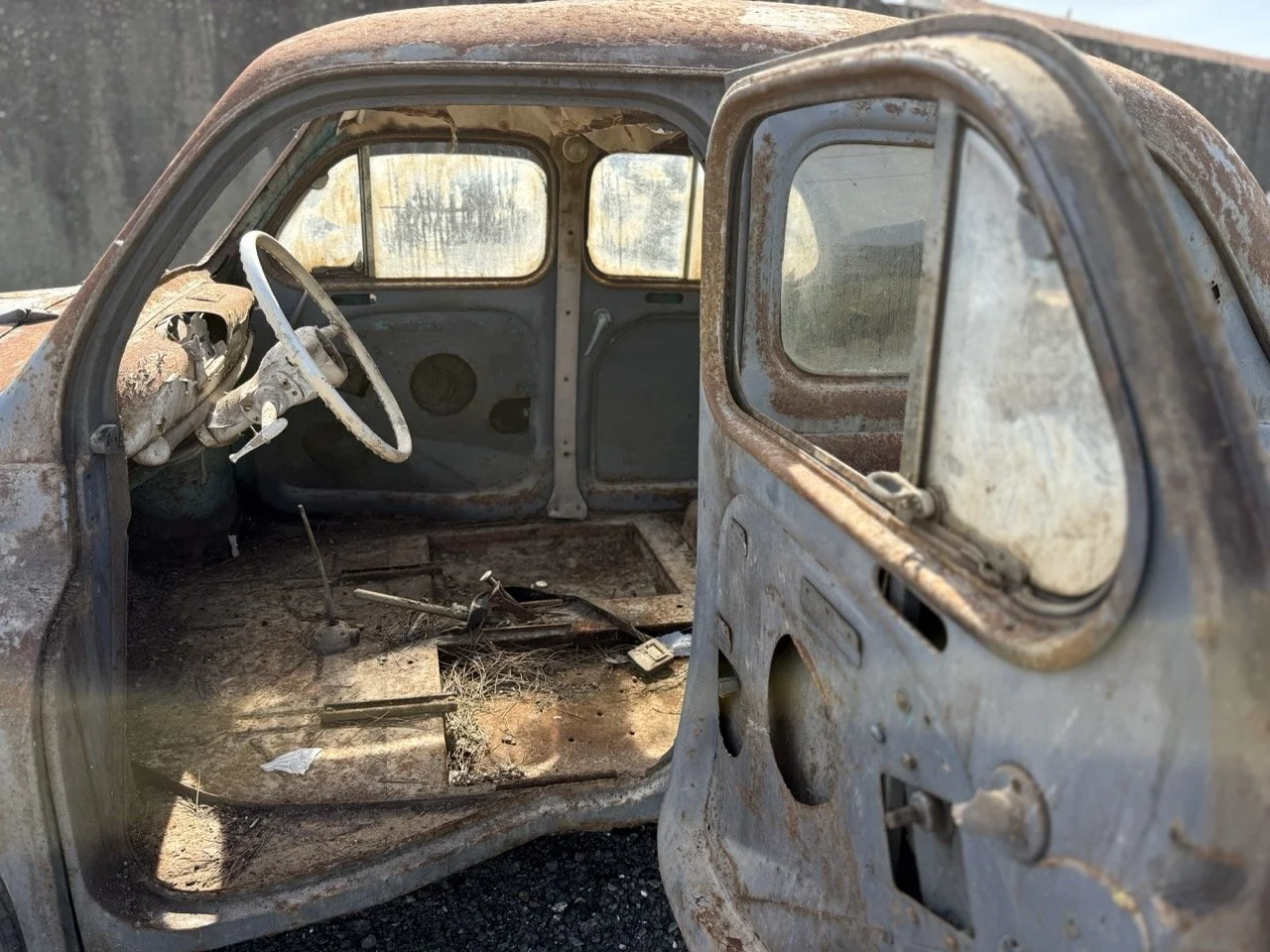 IMG_0271 – grande.jpeg