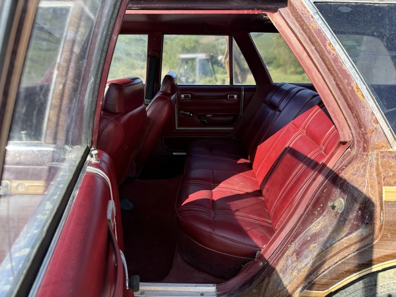 IMG_3022 – grande.jpeg