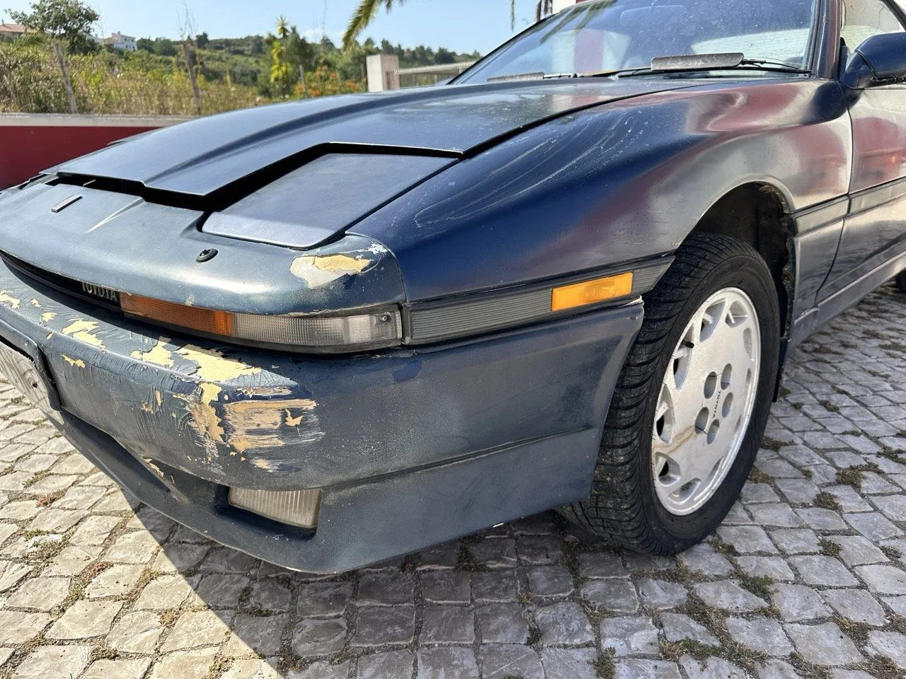 IMG_7240 – grande.jpeg