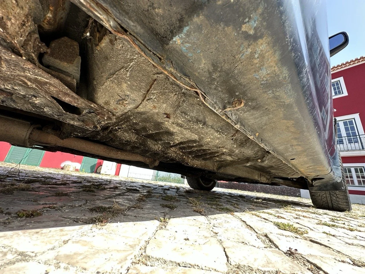 IMG_7254 – grande.jpeg