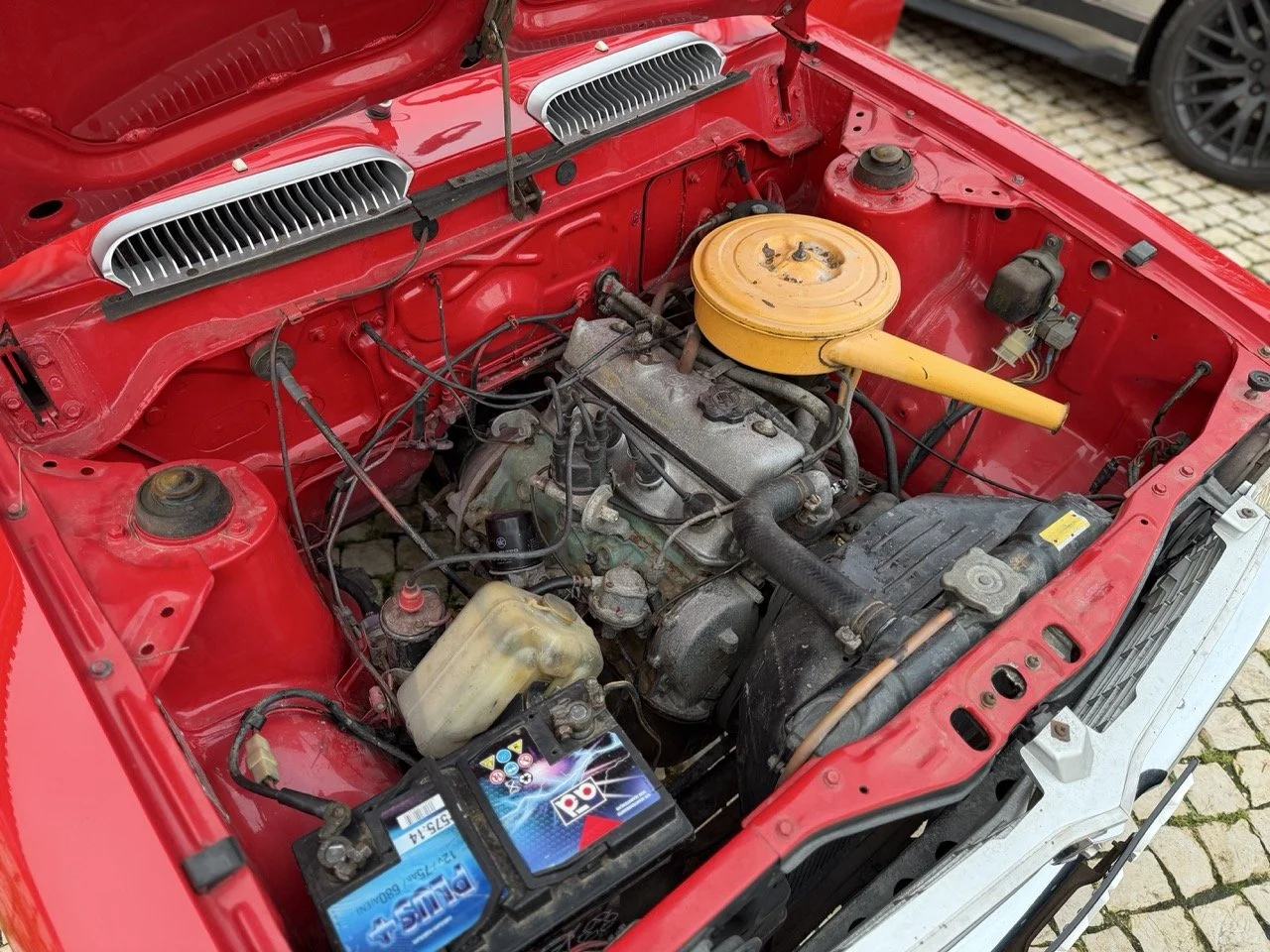 IMG_8253 – grande.jpeg