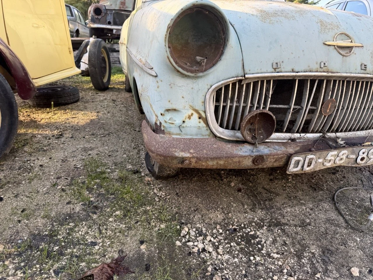 IMG_4059 – grande.jpeg