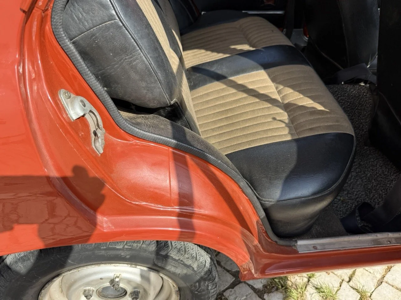 IMG_3650 – grande.jpeg