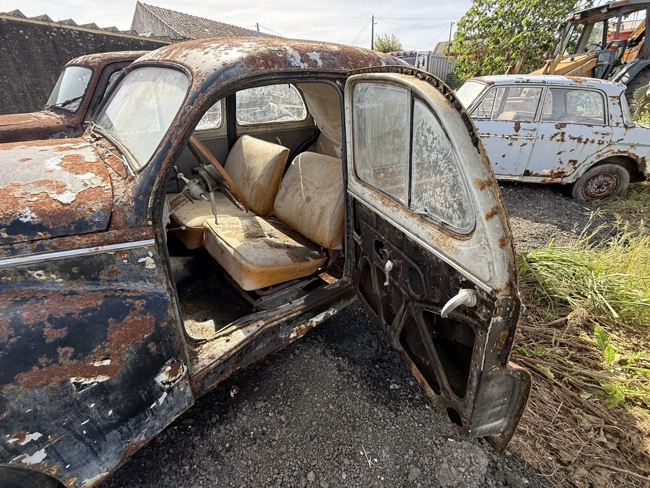 IMG_0408 – grande.jpeg