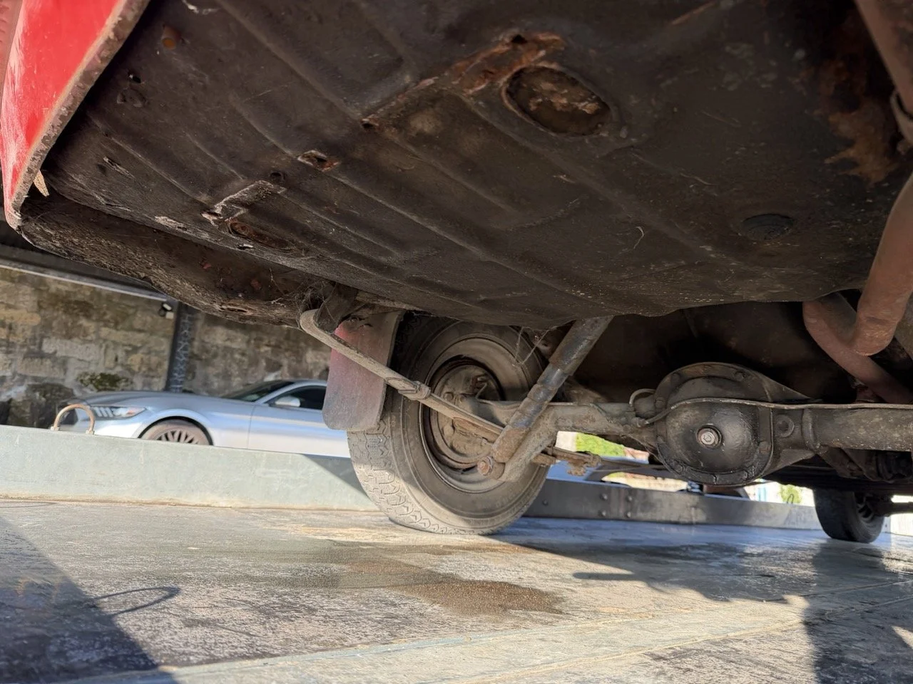 IMG_9069 – grande.jpeg