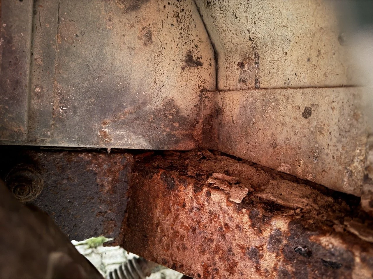 IMG_7486 – grande.jpeg