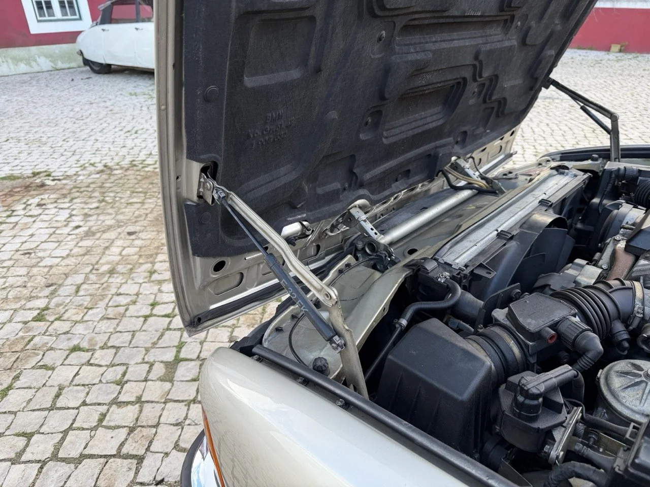 IMG_6989 2 – grande.jpeg