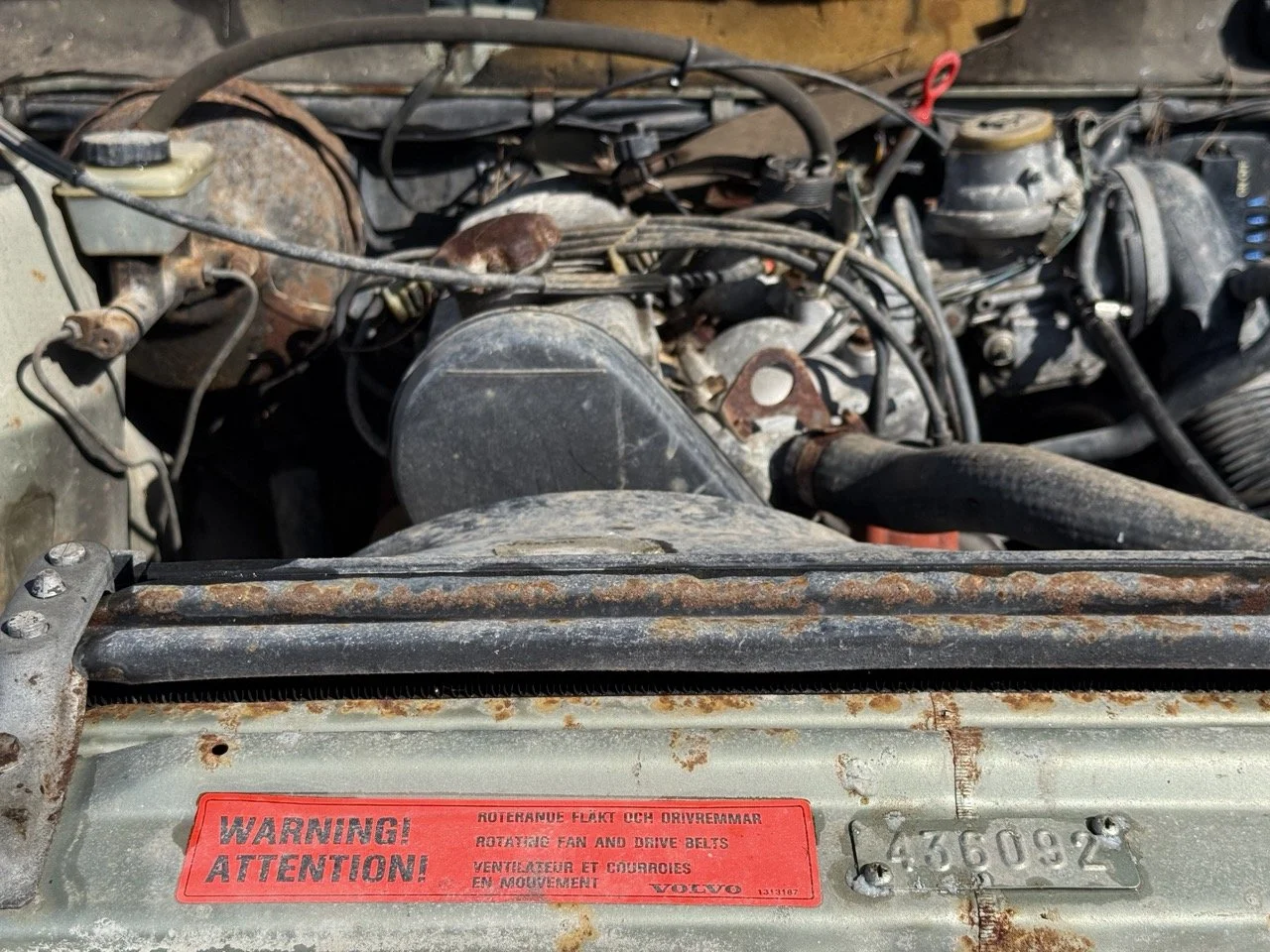 IMG_1162 – grande.jpeg