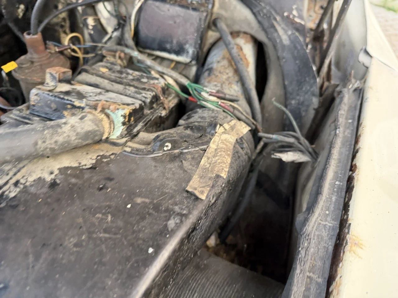 IMG_5967 2 – grande.jpeg