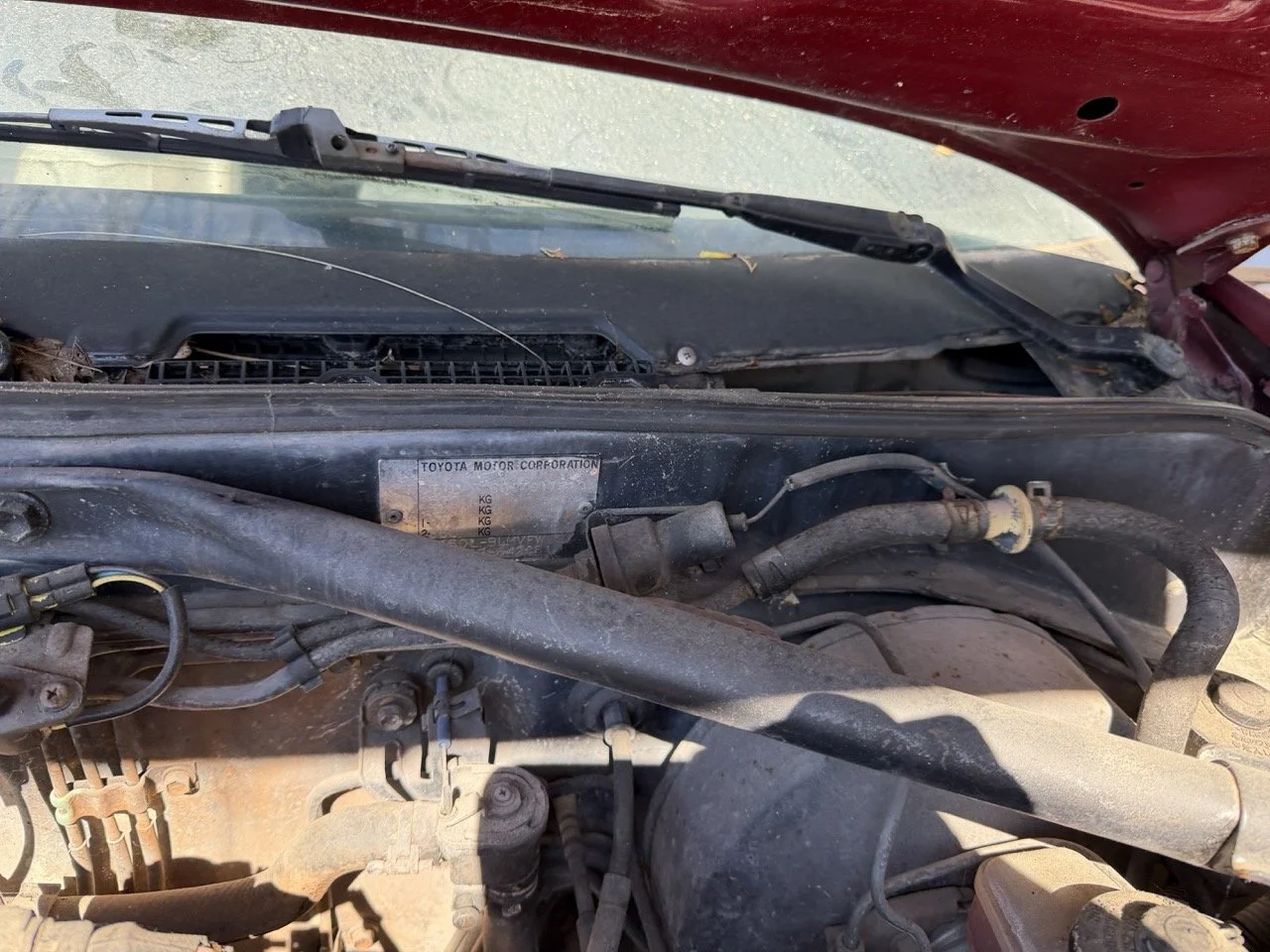 IMG_7621 – grande.jpeg