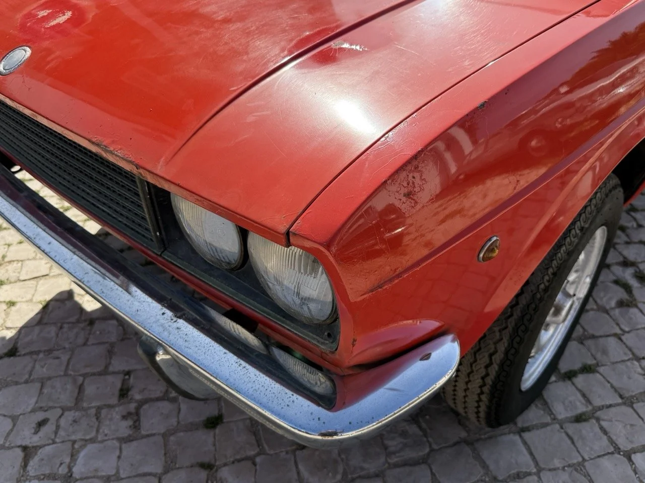 IMG_2343 – grande.jpeg