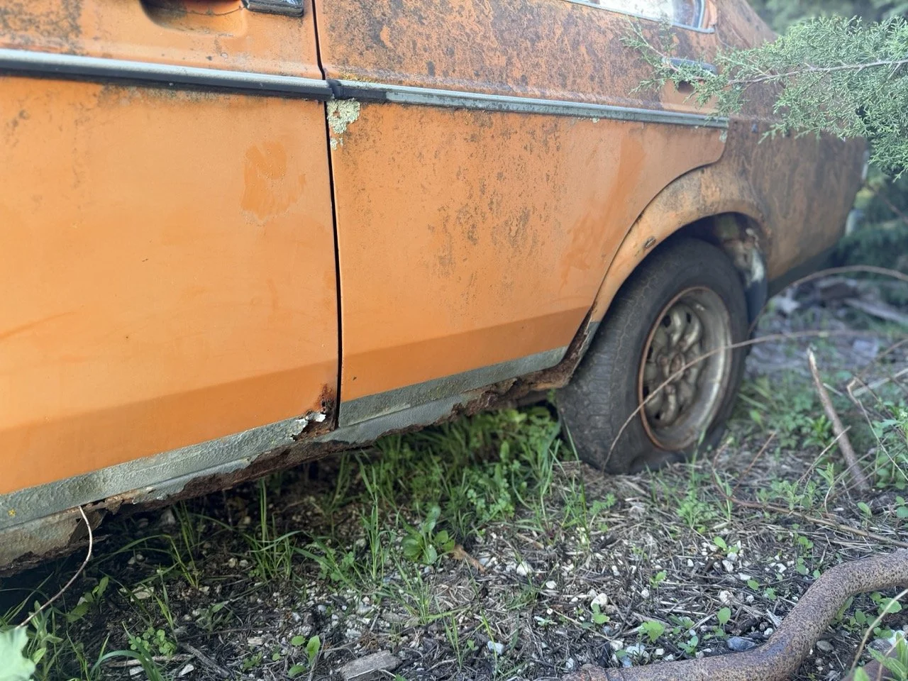 IMG_7693 – grande.jpeg