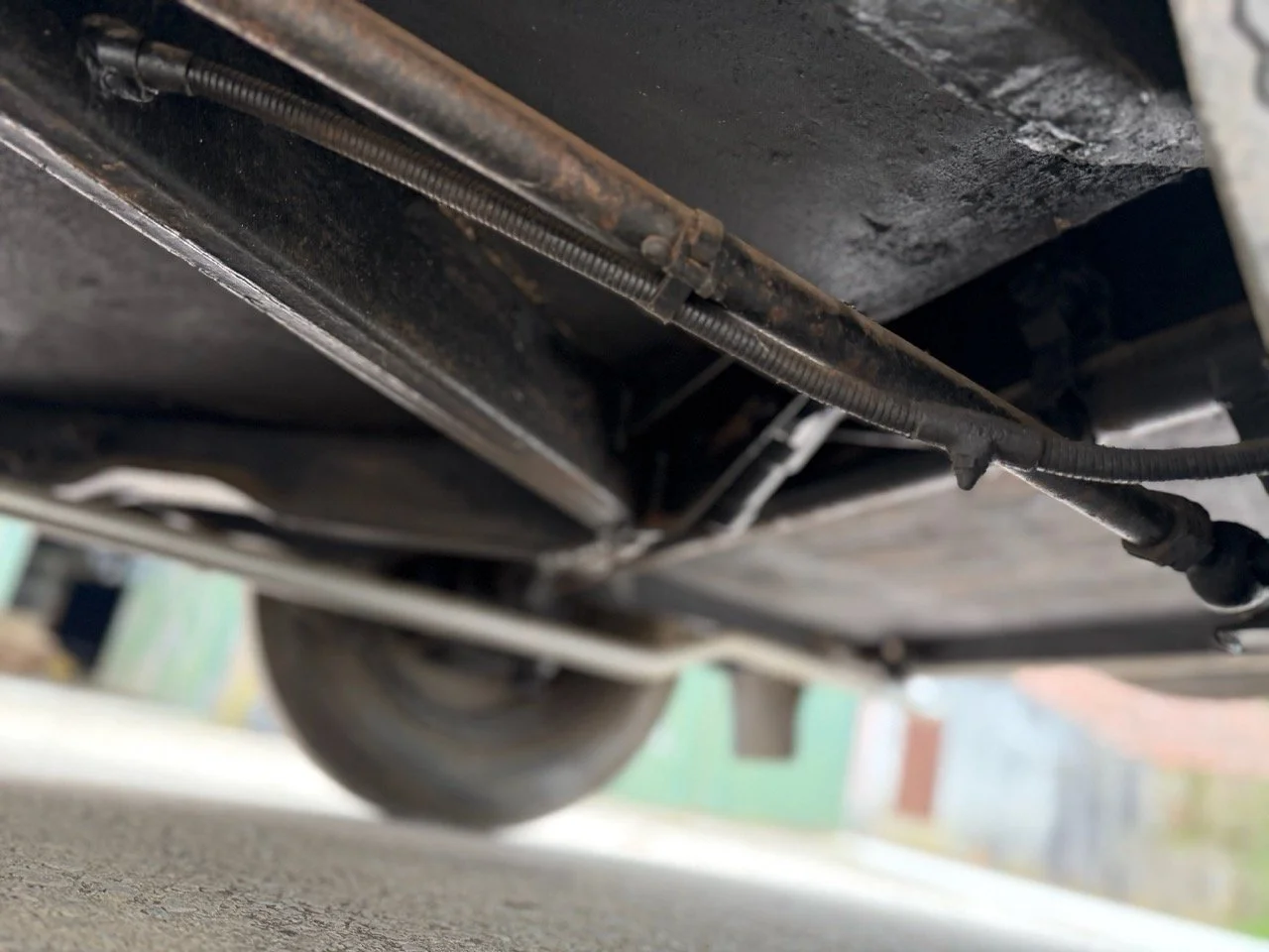 IMG_1487 – grande.jpeg