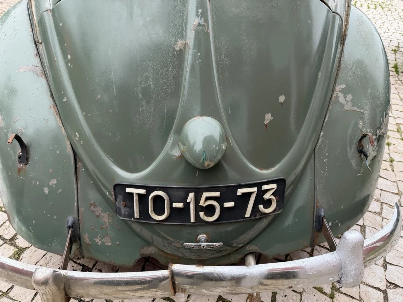 IMG_1223 – grande.jpeg