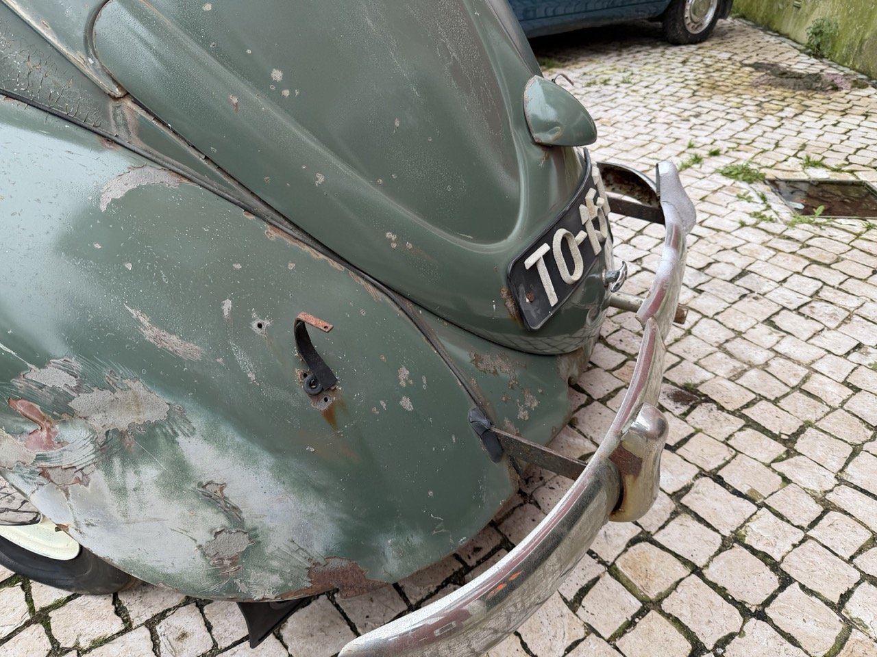 IMG_1197 – grande.jpeg