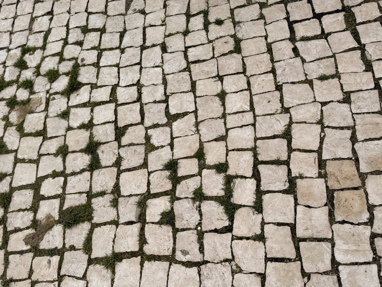 IMG_9572 – grande.jpeg