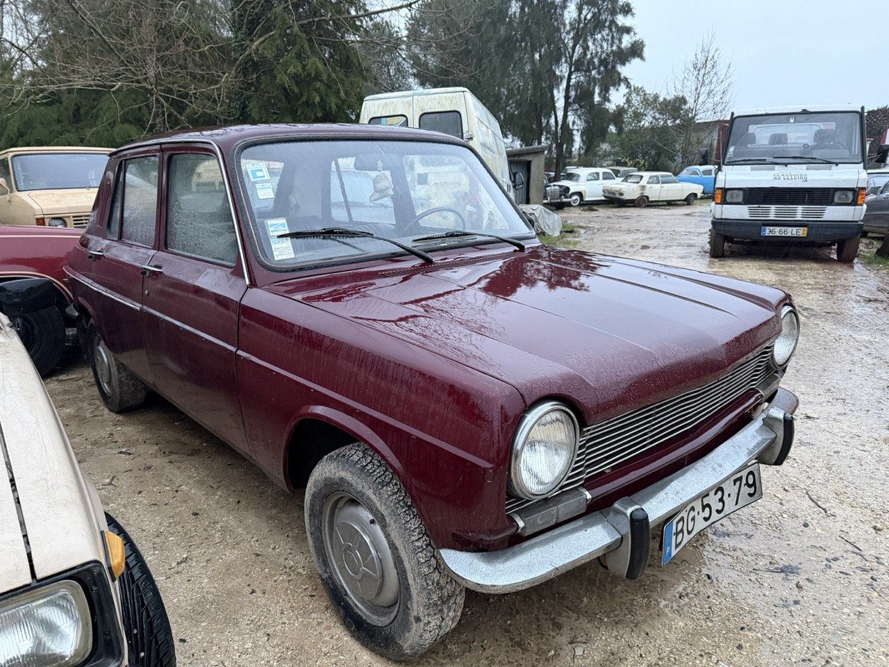 IMG_0264 – grande.jpeg