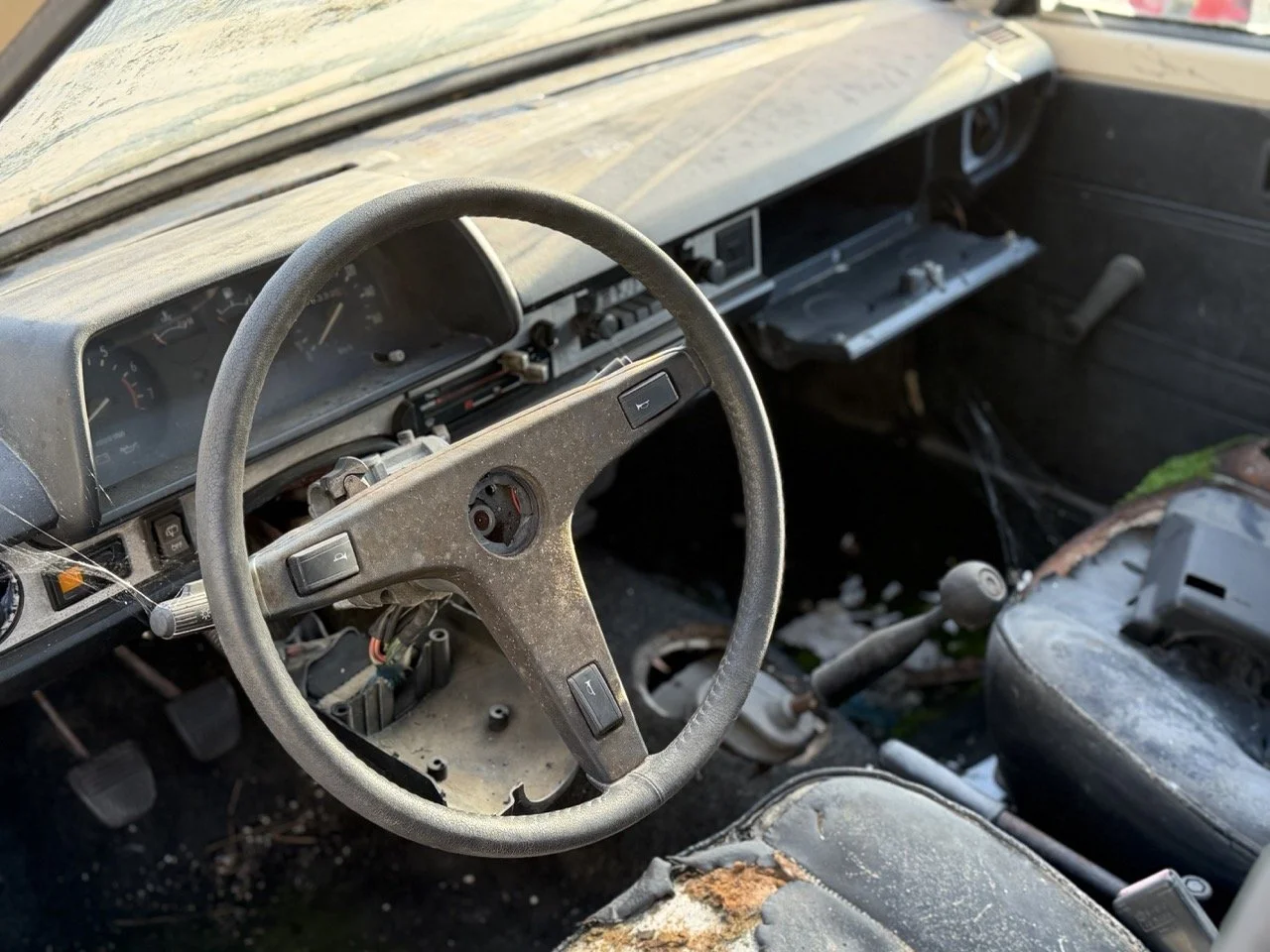 IMG_4030 – grande.jpeg