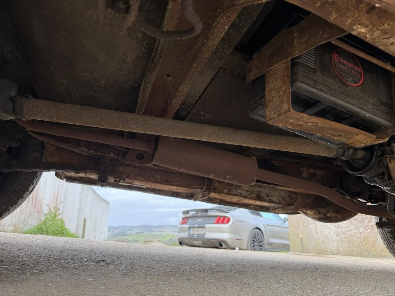 IMG_1654 – grande.jpeg