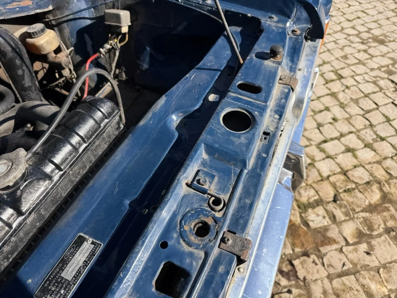 IMG_1848 – grande.jpeg