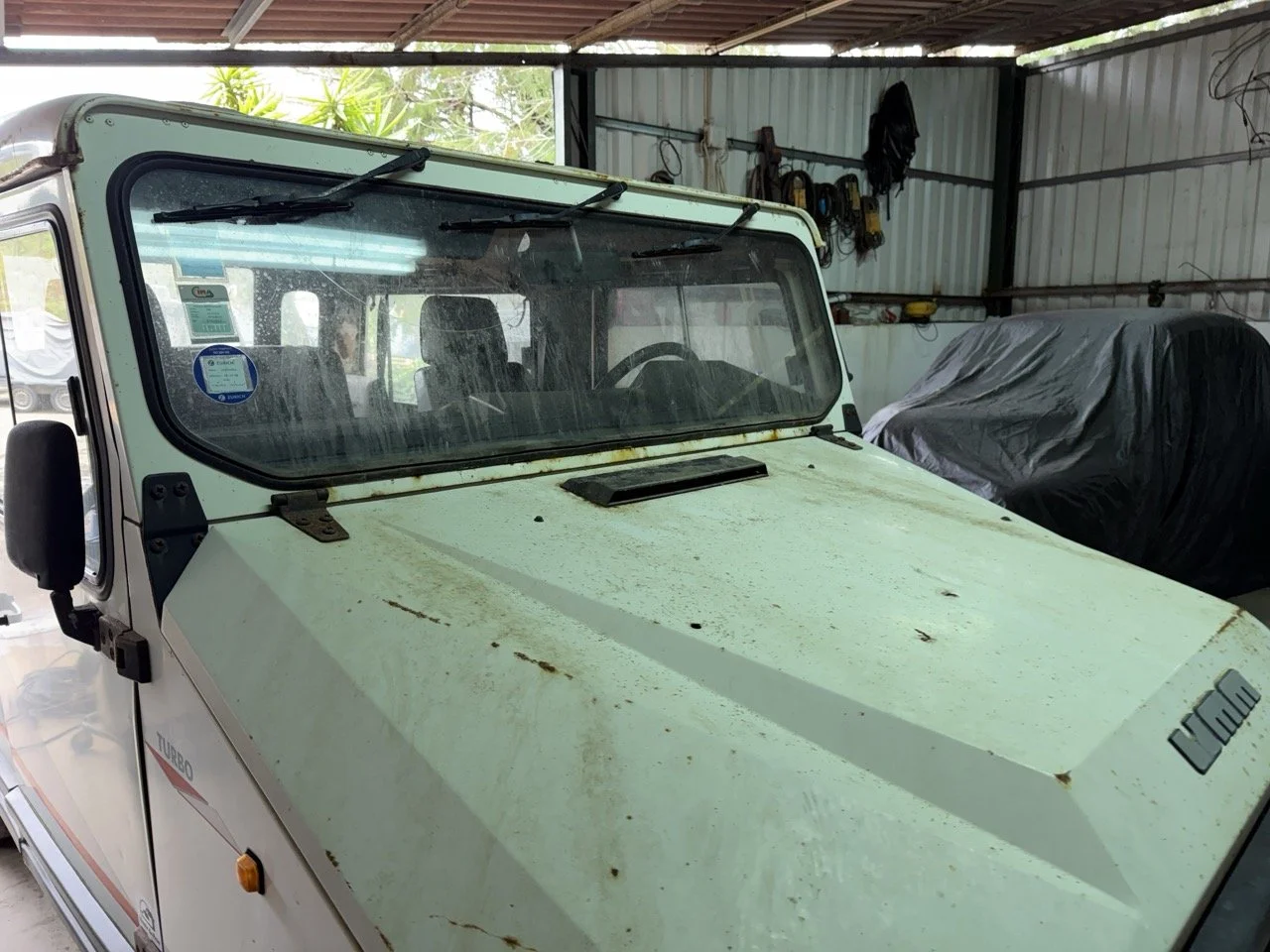 IMG_5212 – grande.jpeg