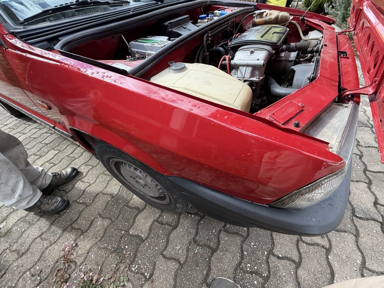 IMG_3260 – grande.jpeg