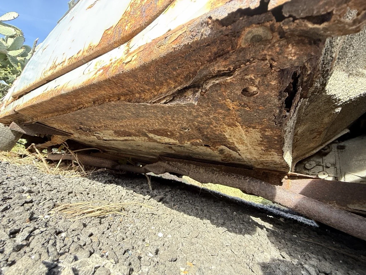 IMG_0514 – grande.jpeg