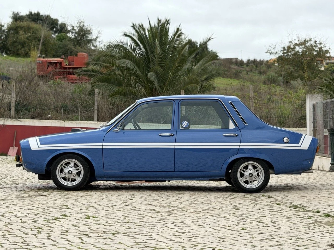 IMG_5916 – grande.jpeg