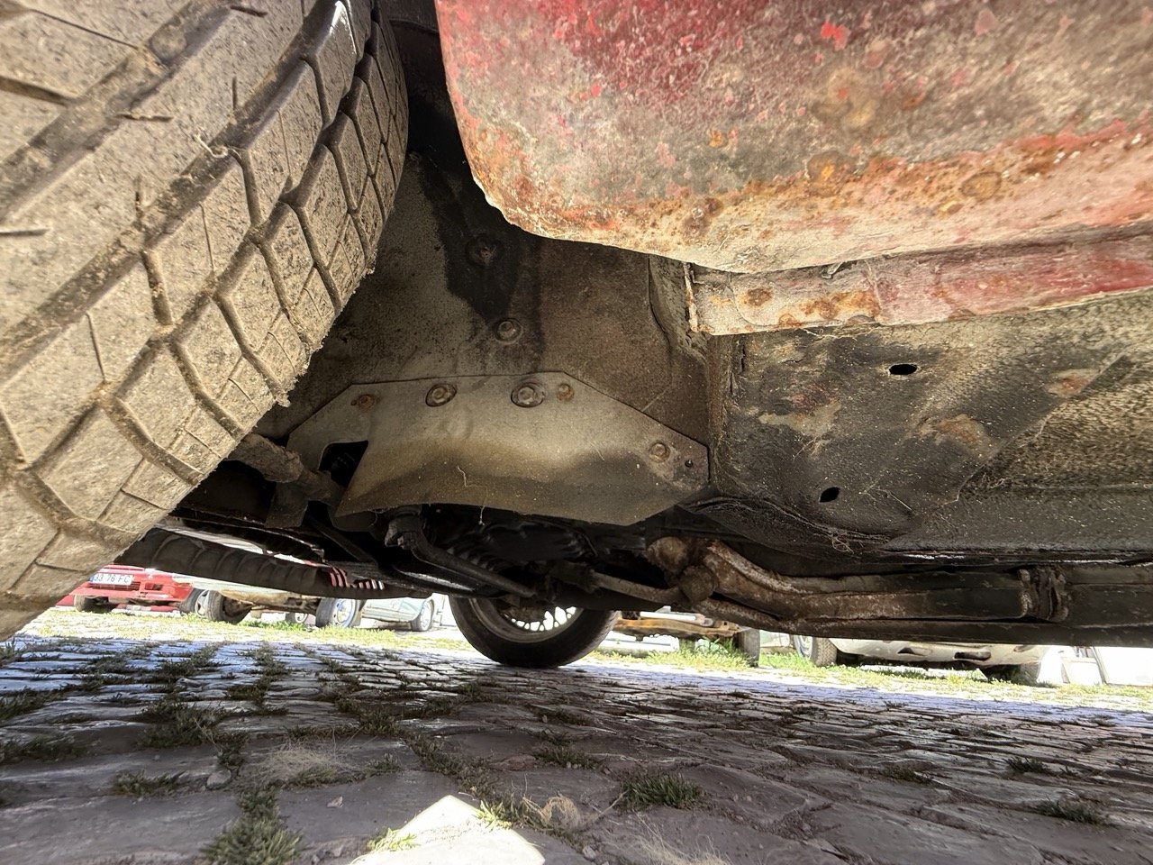 IMG_2098 – grande.jpeg