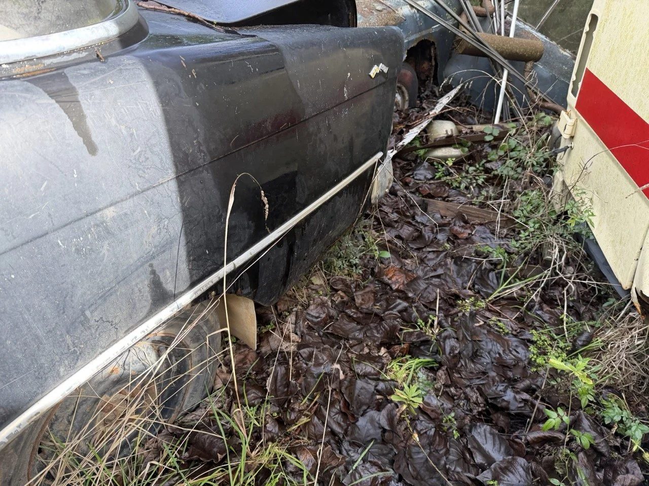 IMG_5071 – grande.jpeg