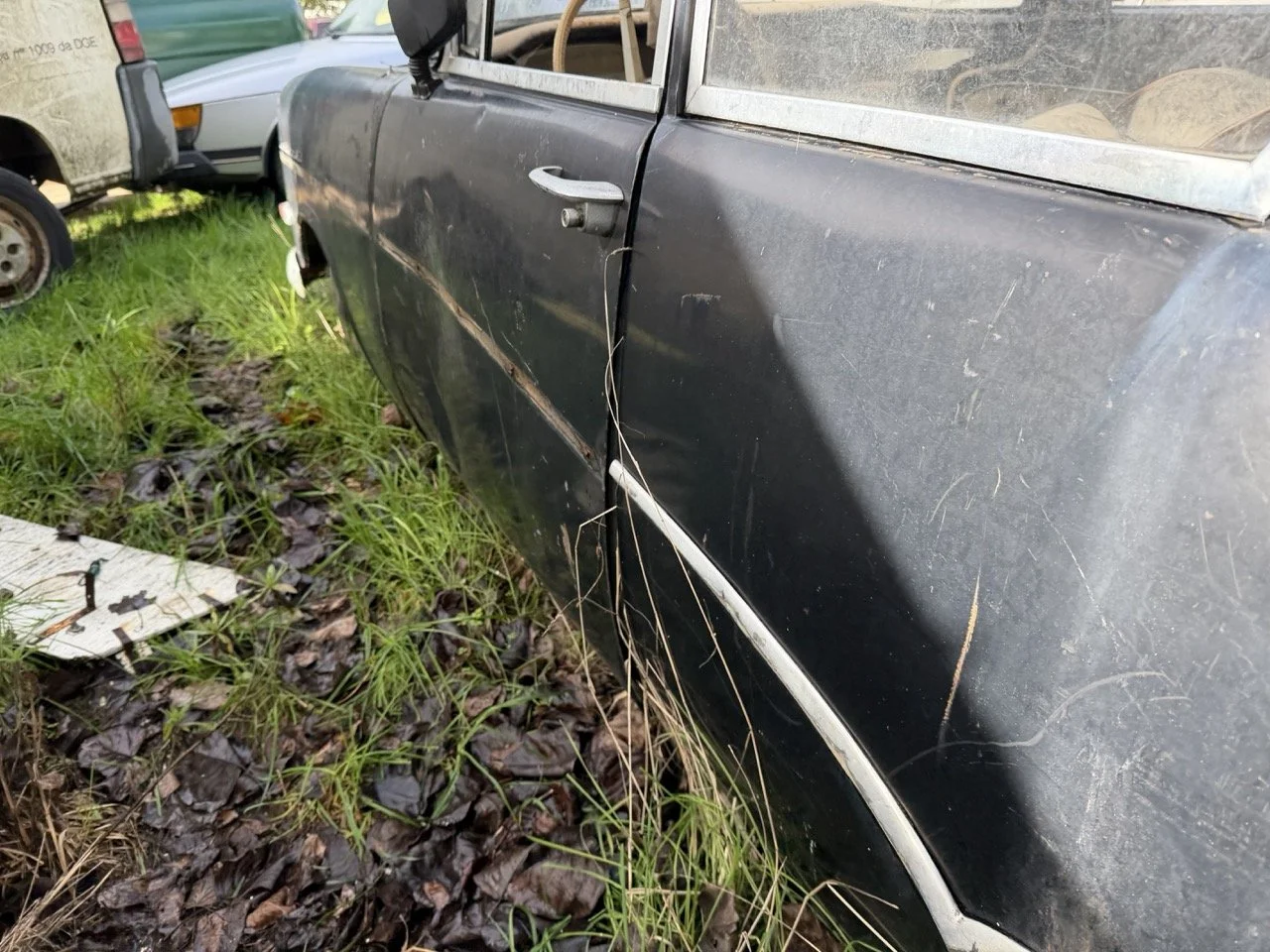 IMG_5078 – grande.jpeg