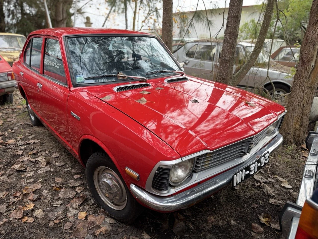 IMG_4931 – grande.jpeg