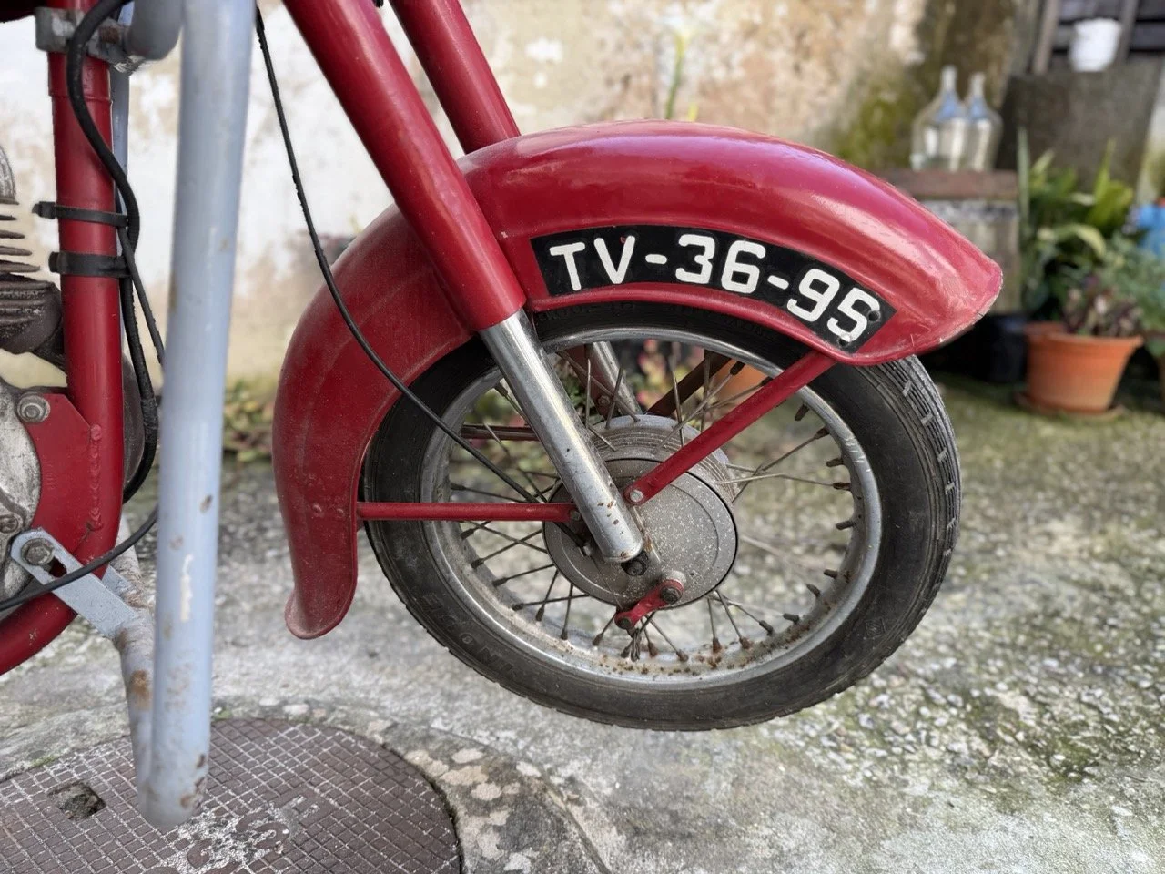 IMG_5905 – grande.jpeg