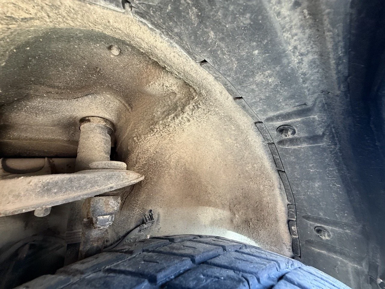 IMG_1819 – grande.jpeg