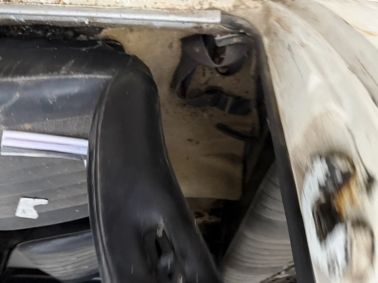 IMG_0144 – grande.jpeg