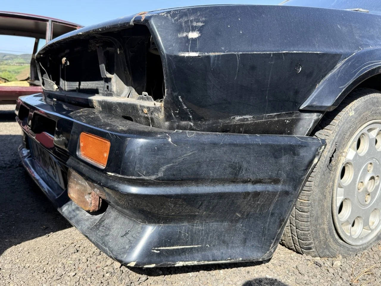 IMG_2913 – grande.jpeg