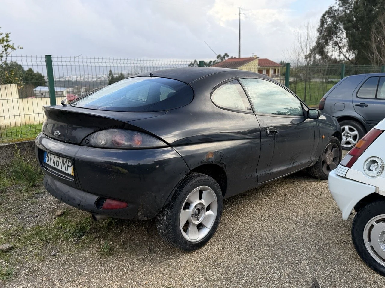 IMG_5290 – grande.jpeg