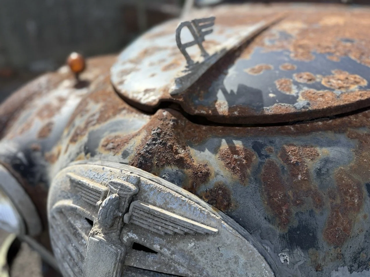 IMG_0443 – grande.jpeg