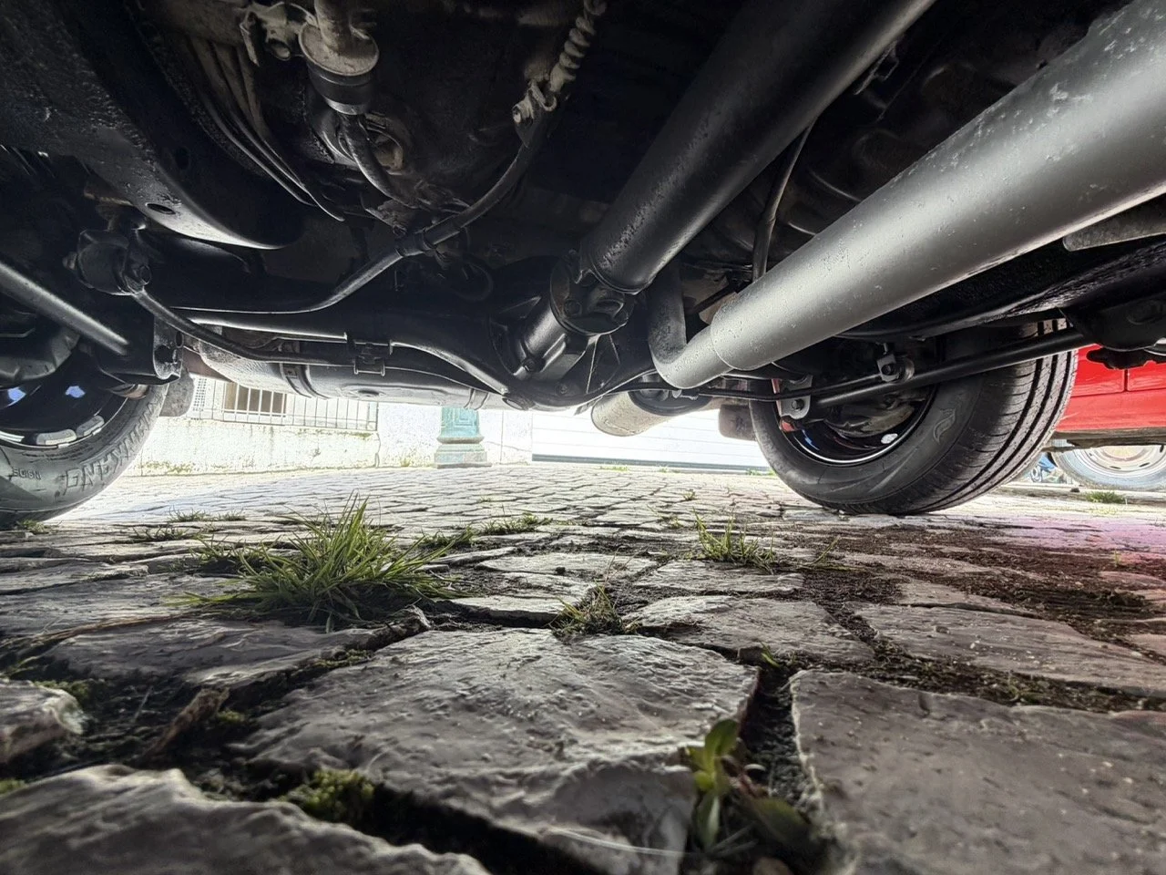 IMG_2457 – grande.jpeg