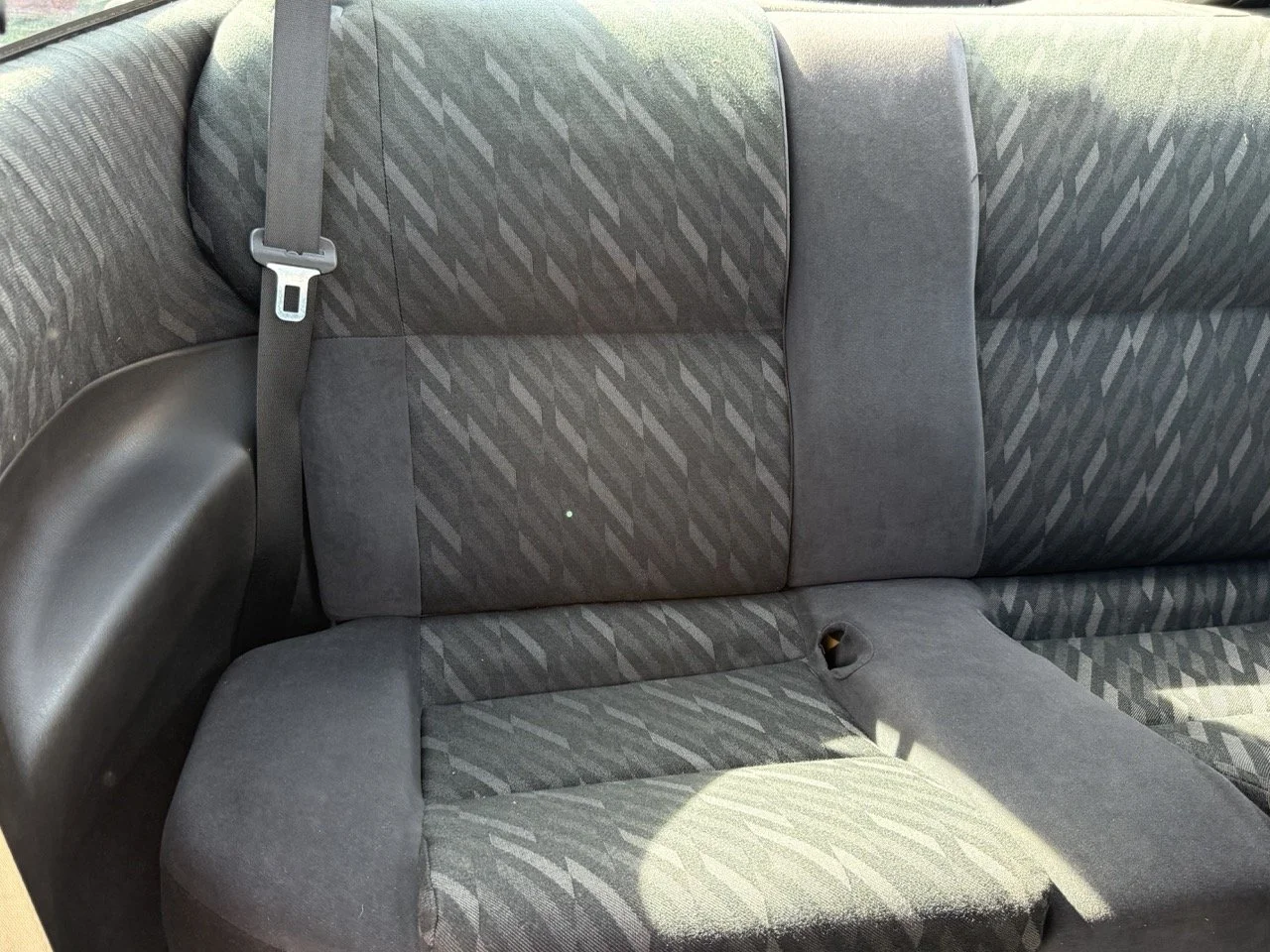 IMG_2452 – grande.jpeg