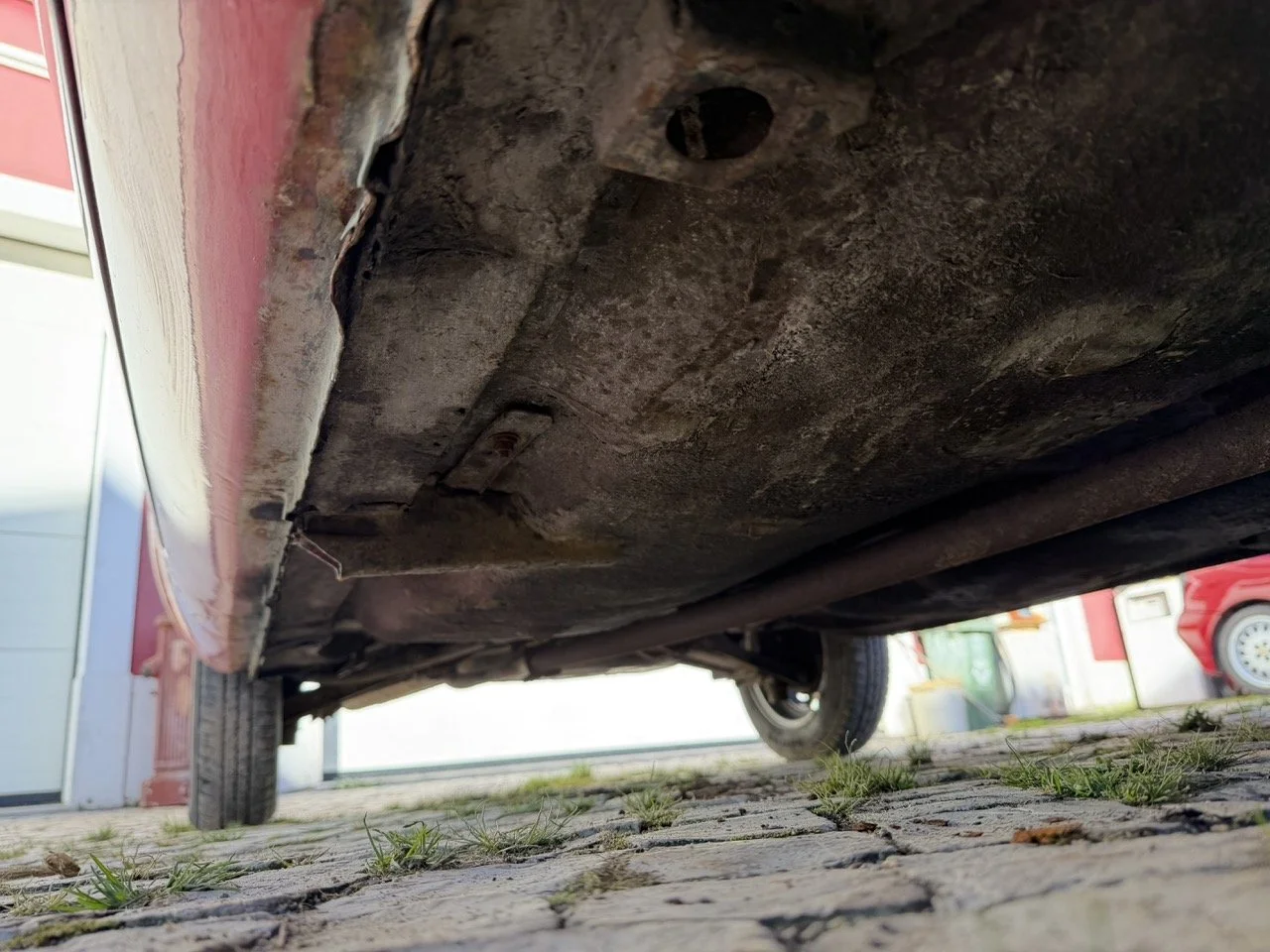 IMG_7222 – grande.jpeg