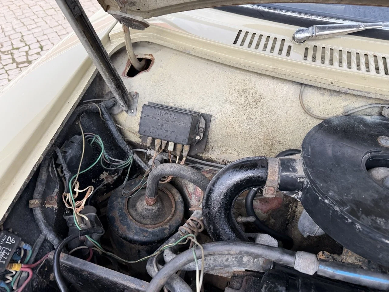 IMG_4069 – grande.jpeg