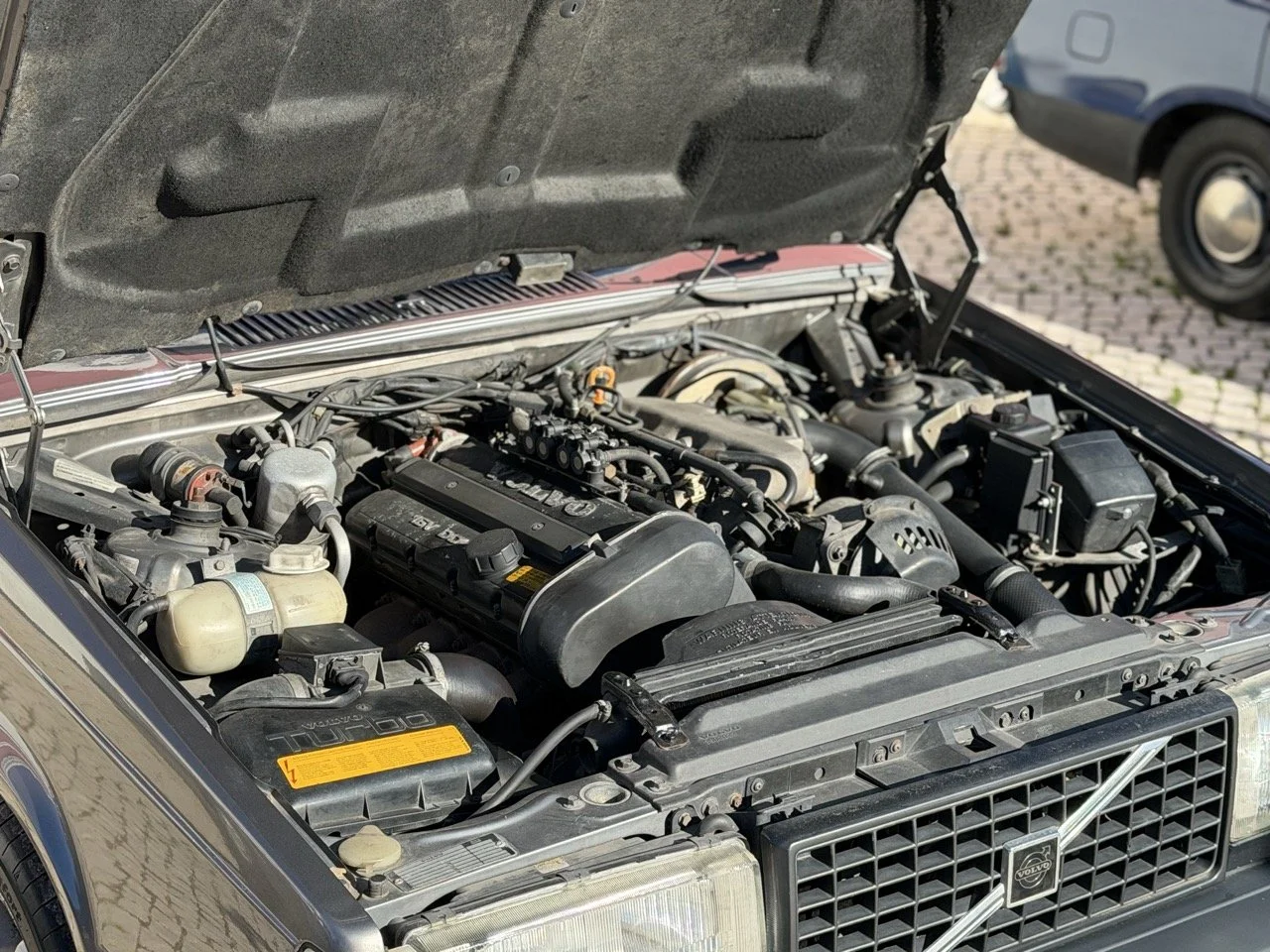 IMG_1973 – grande.jpeg