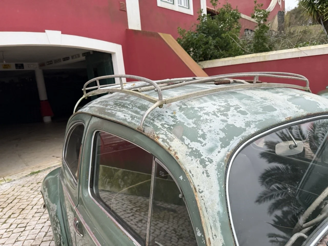 IMG_1210 – grande.jpeg