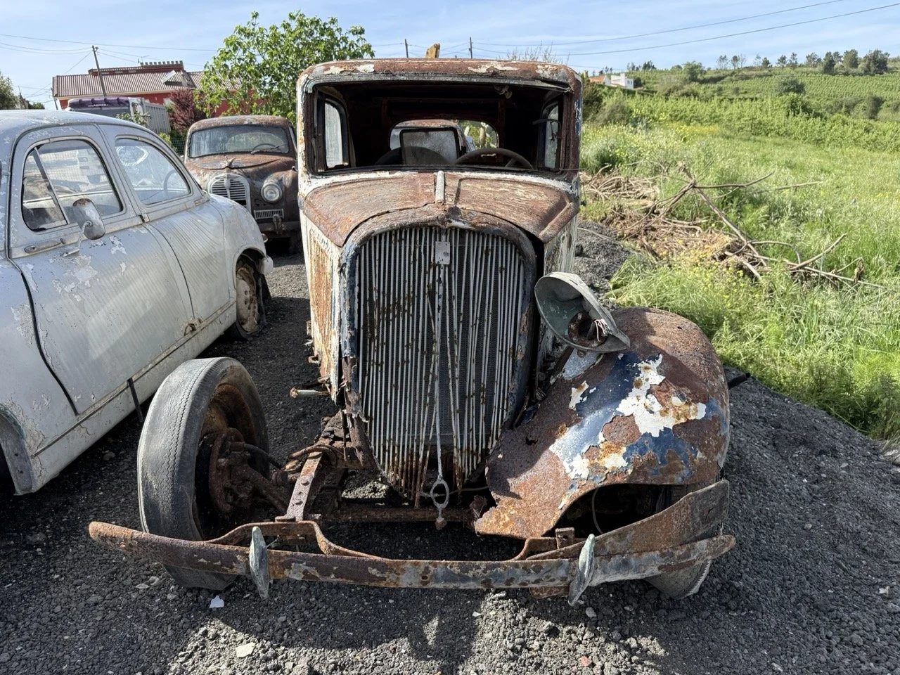 IMG_0353 – grande.jpeg